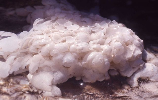 Travertine deposition - Mineral deposits Picture