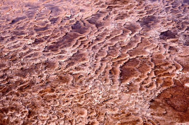 Travertine deposition - Mineral deposits Picture