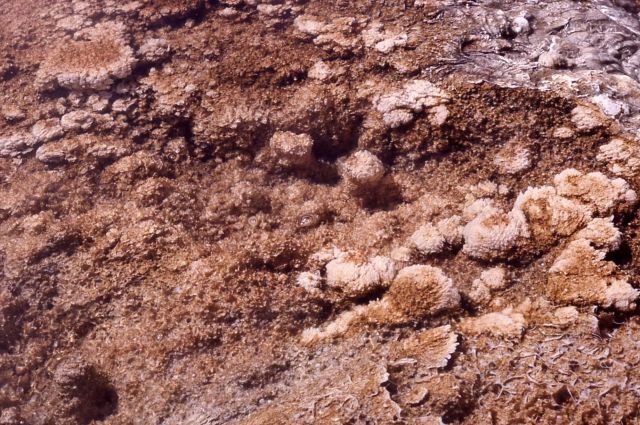 Travertine deposition - Mineral deposits Picture