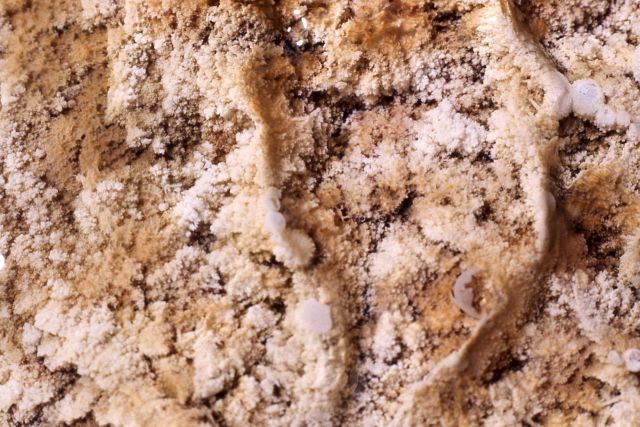 Travertine deposition - Mineral deposits Picture