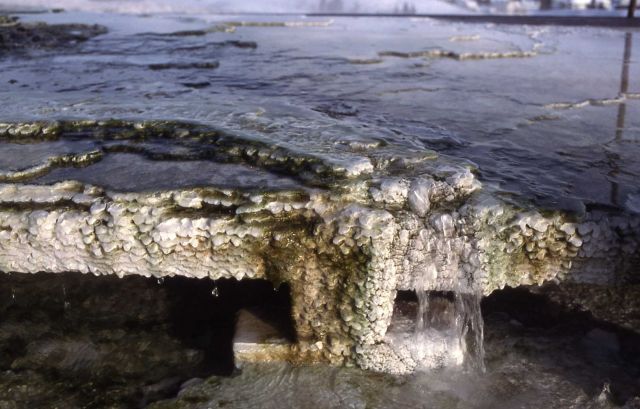 Travetine from Minerva Terrace covering boardwalk - Mineral deposits Picture