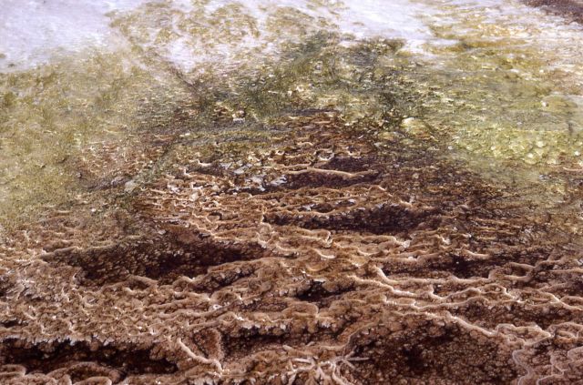 Travertine - Mammoth Hot Springs - Mineral deposits Picture