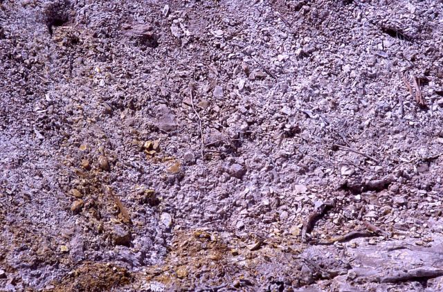 Sulphur at Grizzly Fumarole - Mineral deposits Picture