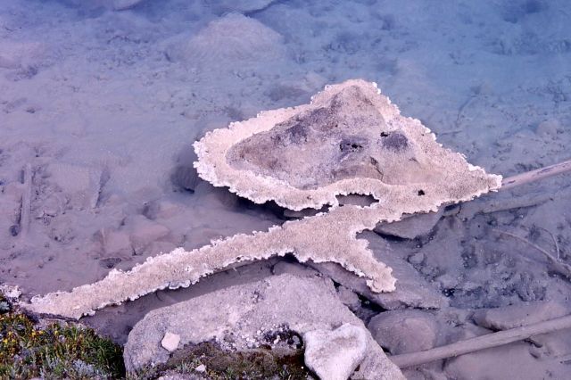 Silica deposition - Imperial Geyser crater - Mineral deposits Picture