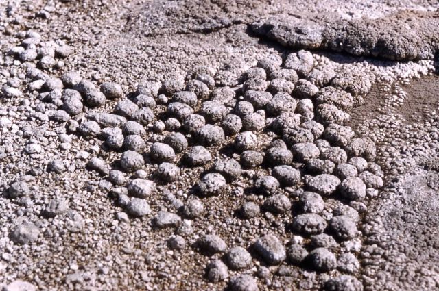Geyser eggs - Mineral deposits Picture