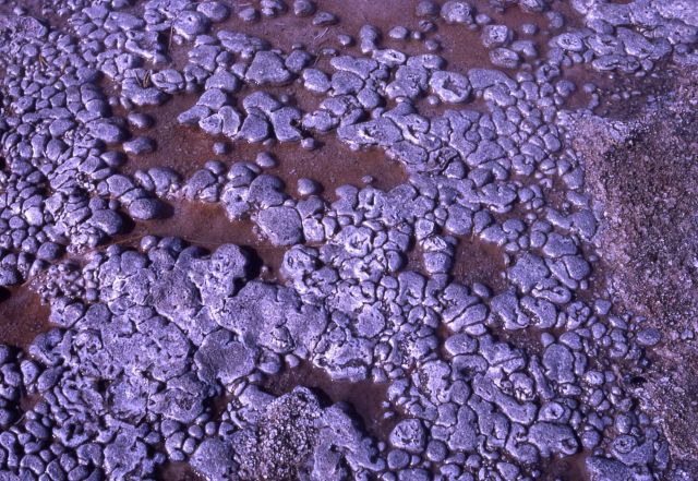 Sinter formation - Mineral deposits Picture