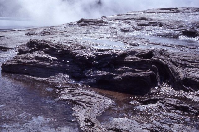 Wood embedded in Old Faithful Geyser cone - Mineral deposits Picture