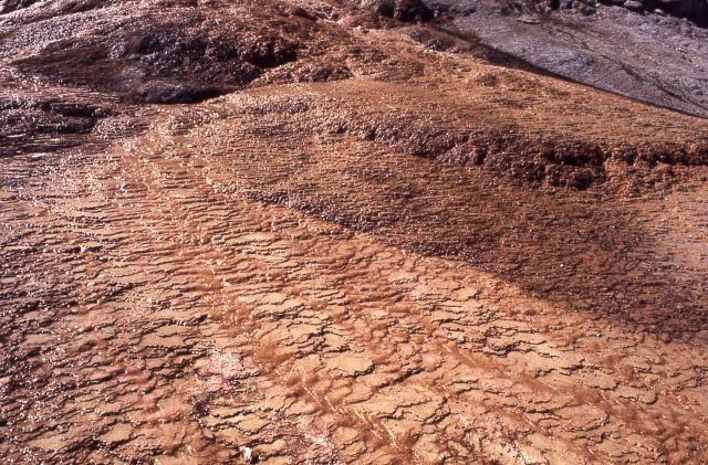 Terrace at Mammoth Hot Springs - Mineral deposits Picture