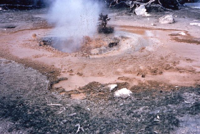 Red Spouter in mud phase - Mud Pots, Midway & Lower Geyser Basin Picture