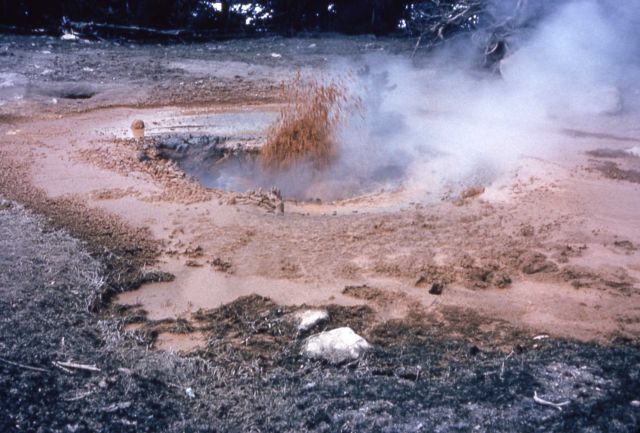 Red Spouter in mud phase - Mud Pots, Midway & Lower Geyser Basin Picture
