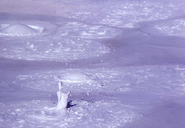 Close up of mud at Fountain Paint Pot - Mud Pots, Midway & Lower Geyser Basin Picture