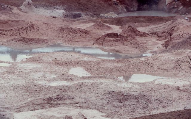 Fountain Paint Pot - Mud Pots, Midway & Lower Geyser Basin Picture