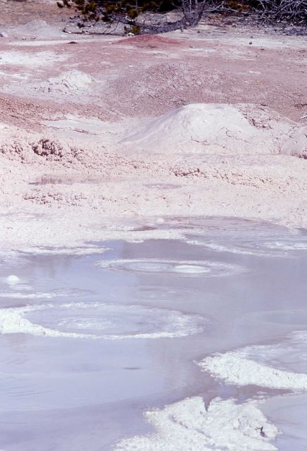 Fountain Paint Pot - Mud Pots, Midway & Lower Geyser Basin Picture