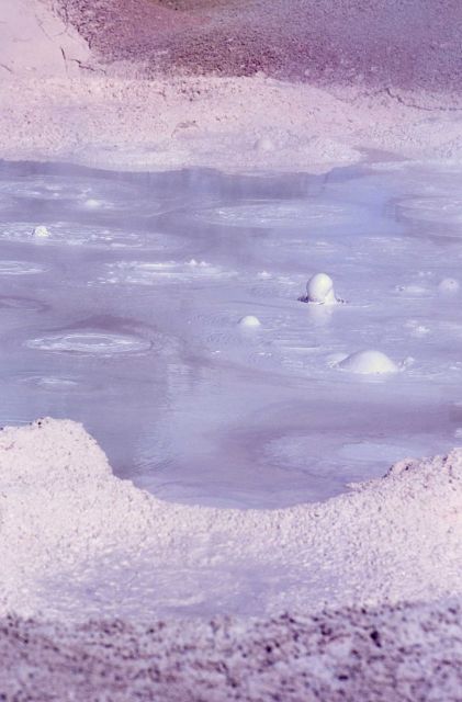 Fountain Paint Pot - Mud Pots, Midway & Lower Geyser Basin Picture