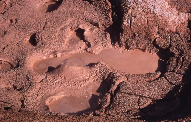 Rabbit Creek Mud Pots - Midway & Lower Geyser Basin Picture