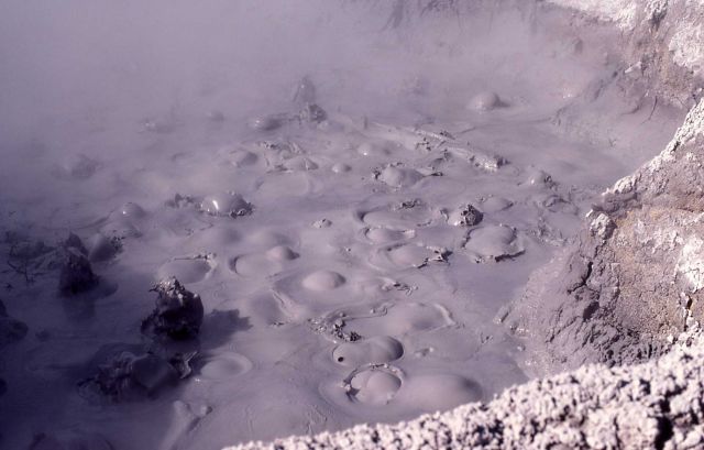 Mud pot - Mud Volcano area Picture