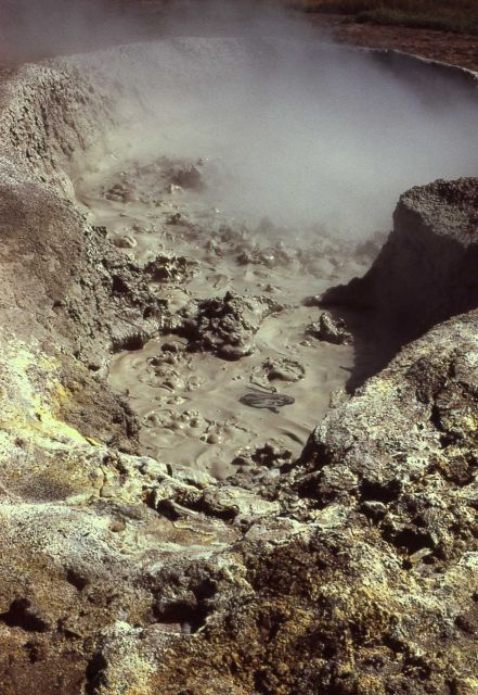 Mud pot - Mud Volcano area Picture
