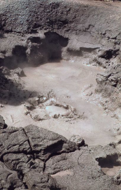 Mud pot - Mud Volcano area Picture