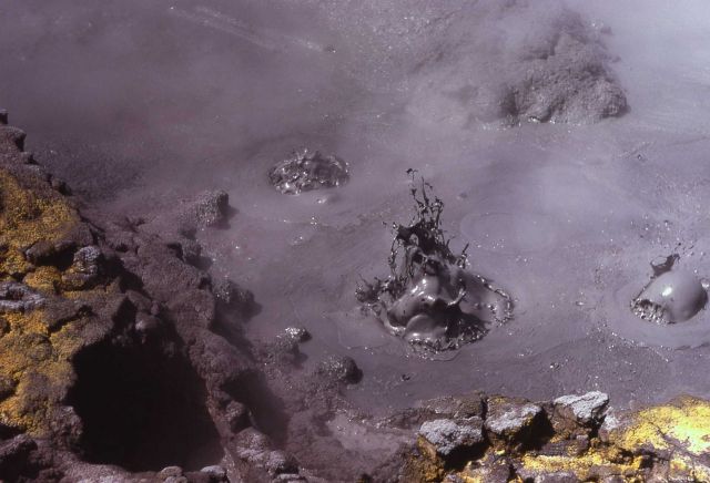 Small mud cauldron - Mud Pots, Mud Volcano area Picture