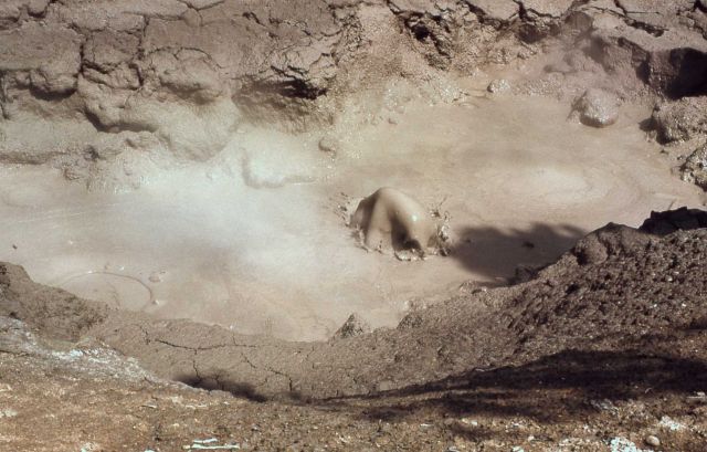 Mud pot - Mud Volcano area Picture
