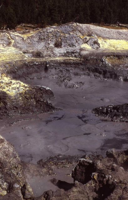 Mud pot in Hayden Valley - Mud Volcano area Picture