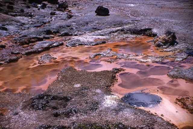 Artists' Paintpots - Mud Pots, Norris Geyser Basin Picture