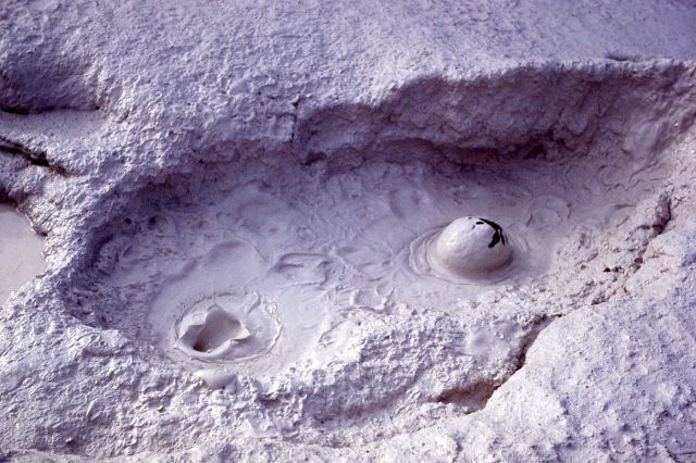 Mud Pot - Norris Geyser Basin Picture
