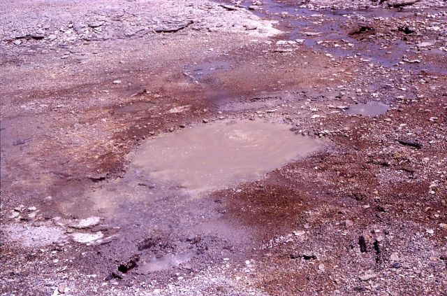 Lewis Mud Pot - Norris Geyser Basin Picture