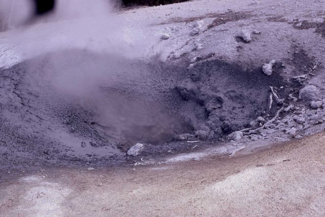 Blue Mud Steam Vent - Norris Geyser Basin Picture