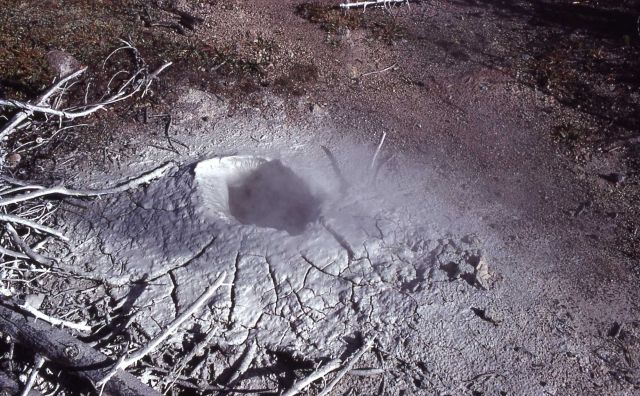Unnamed mud pot - Norris Geyser Basin Picture