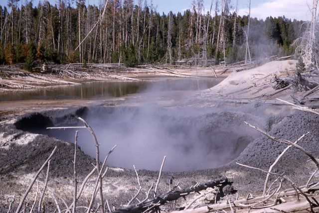 Unknown Cauldron - Mud Pots, unknown area Picture