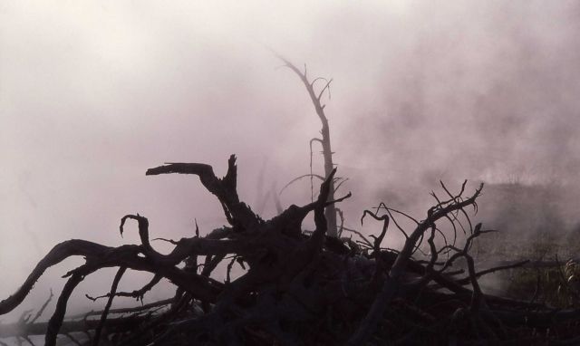 Steam (from Seismic Geyser) Picture