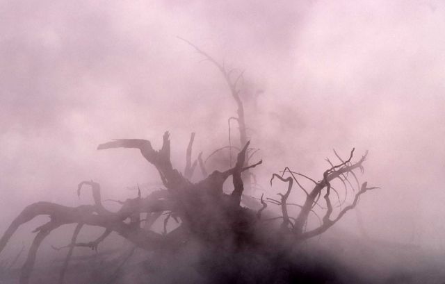 Steam (from Seismic Geyser) Picture