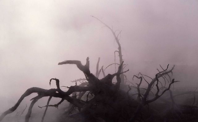 Steam (from Seismic Geyser) Picture