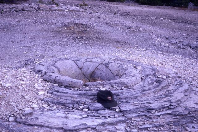 Long extinct geyser crater - Pebble Geyser at Norris Geyser Basin Picture