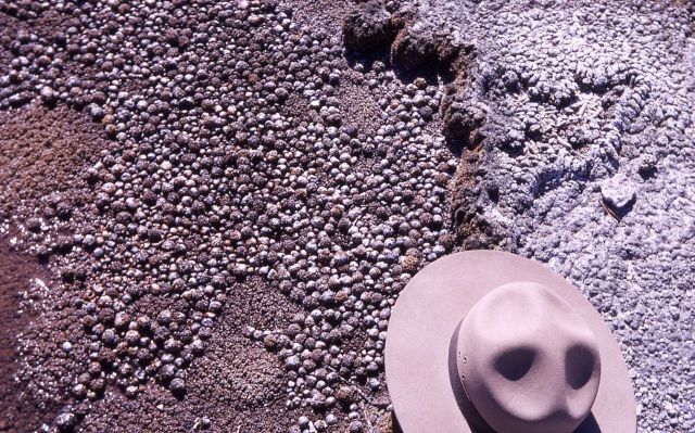 Close up of Crown Jewel Geyser eggs - Norris Geyser Basin Picture
