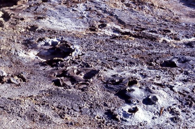 Acid ground surface Picture