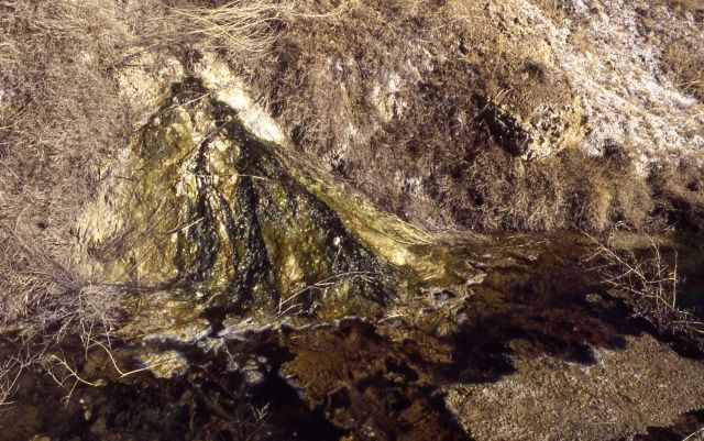 LaDuke Hot Spring - north of Gardiner, MT- small spring along east side of road Picture