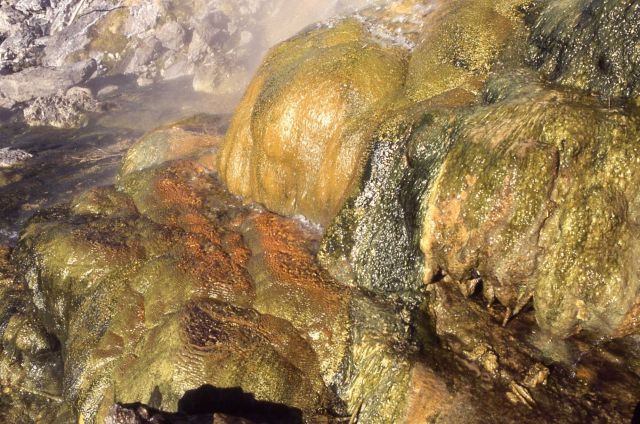 LaDuke Hot Spring - north of Gardiner, MT - large formation on Yellowstone River Picture