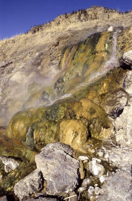 LaDuke Hot Spring - north of Gardiner, MT - large formation on Yellowstone River Picture