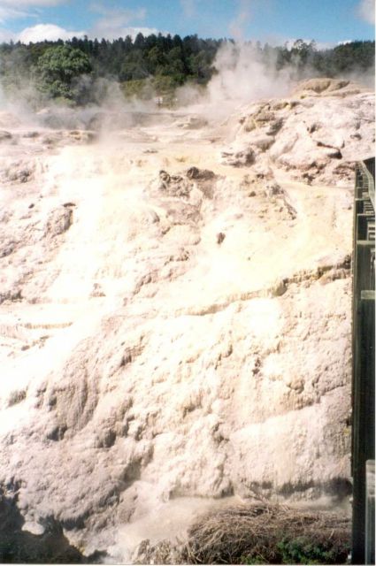 Wha Karewarena Cultural Center Picture