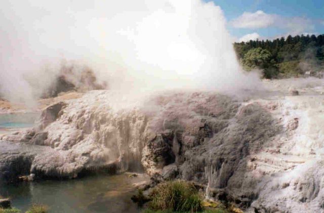 Wha Karewarena Cultural Center Picture