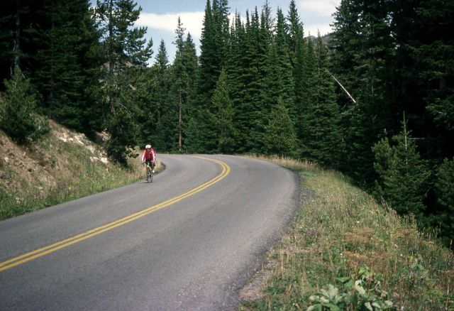 Cyclist near Dunraven Pass Picture