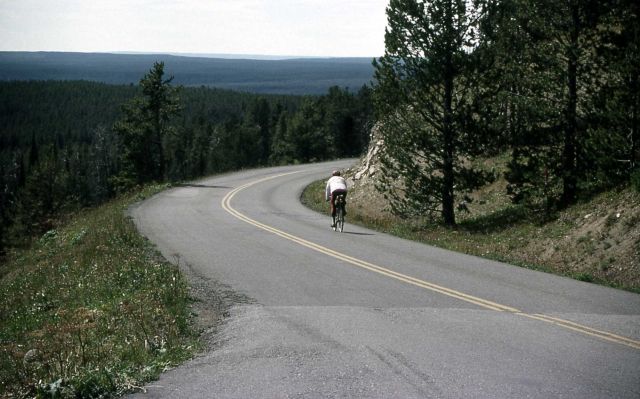 Cyclist near Dunraven Pass Picture