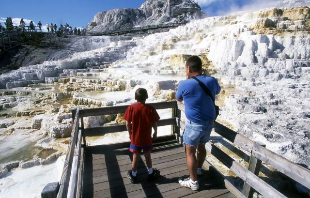 Visitors on boardwalk at Minerva Terrace Picture