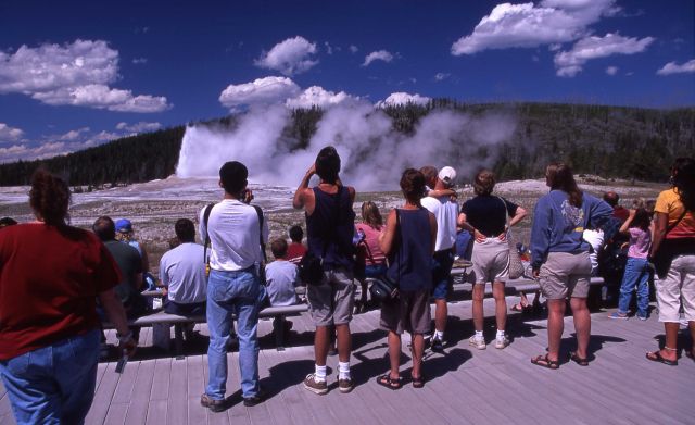 Visitors watching Old Faithful eruption Picture