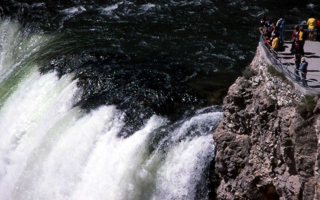 Visitors at the brink of the Lower Falls Picture