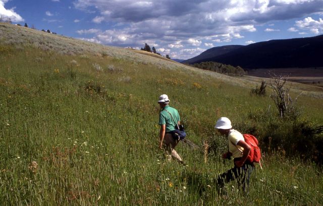 Hikers in Lamar Valley Picture