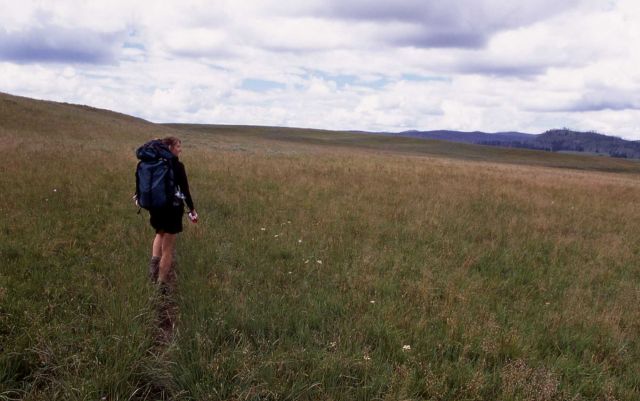 Hiking in Pelican Valley Picture