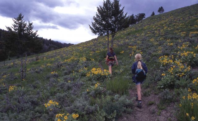 Hikers on Rescue Creek trail Picture